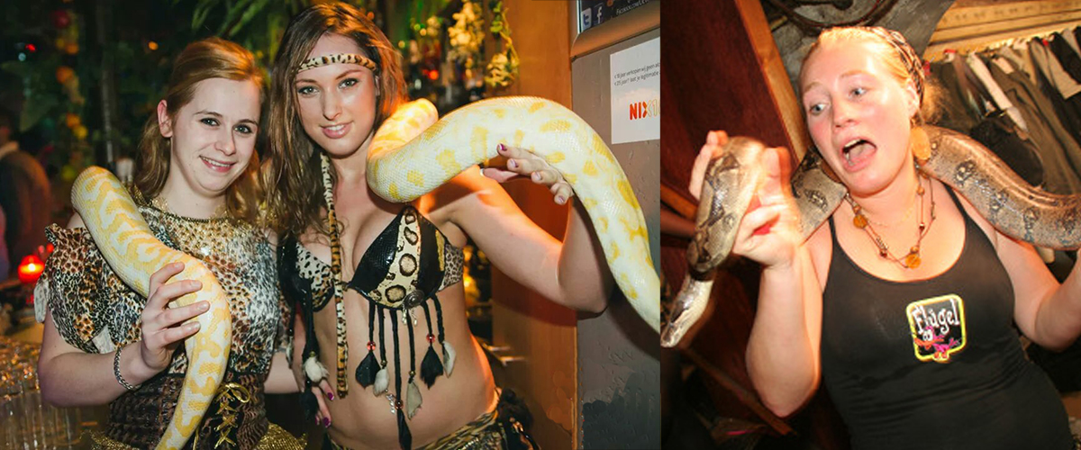 Slangendans voor klanten